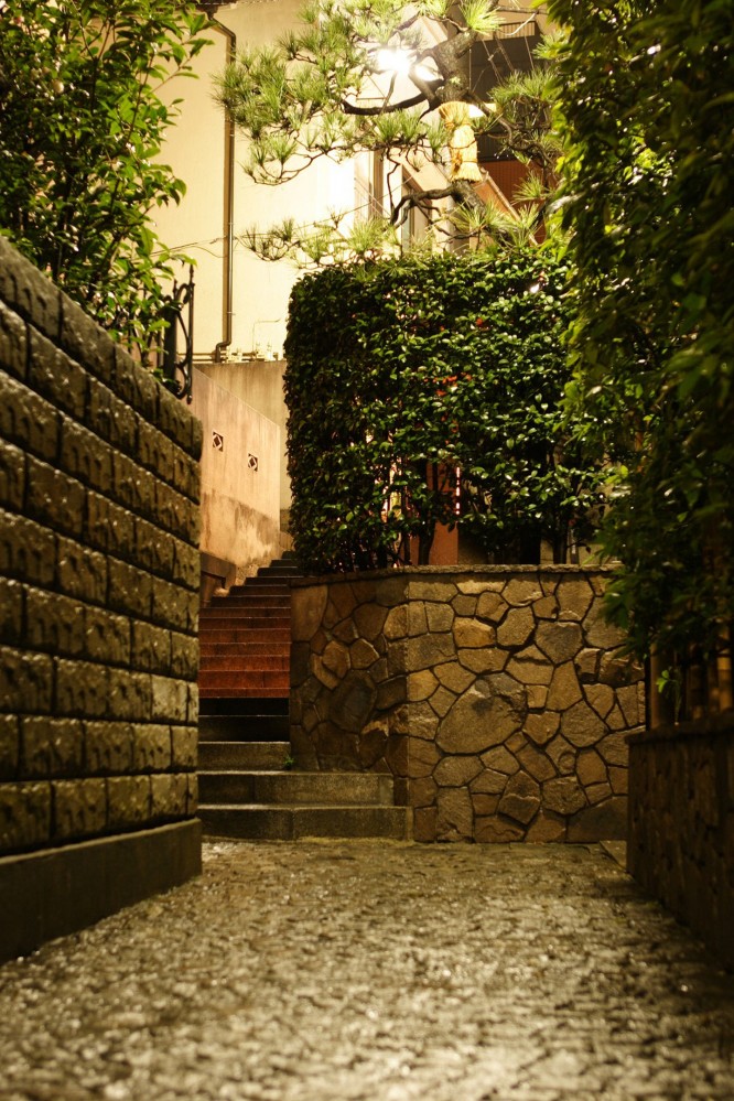 Photo of an alleyway with high stone walls topped with lush green shrubs. There is golden evening light over the scene.